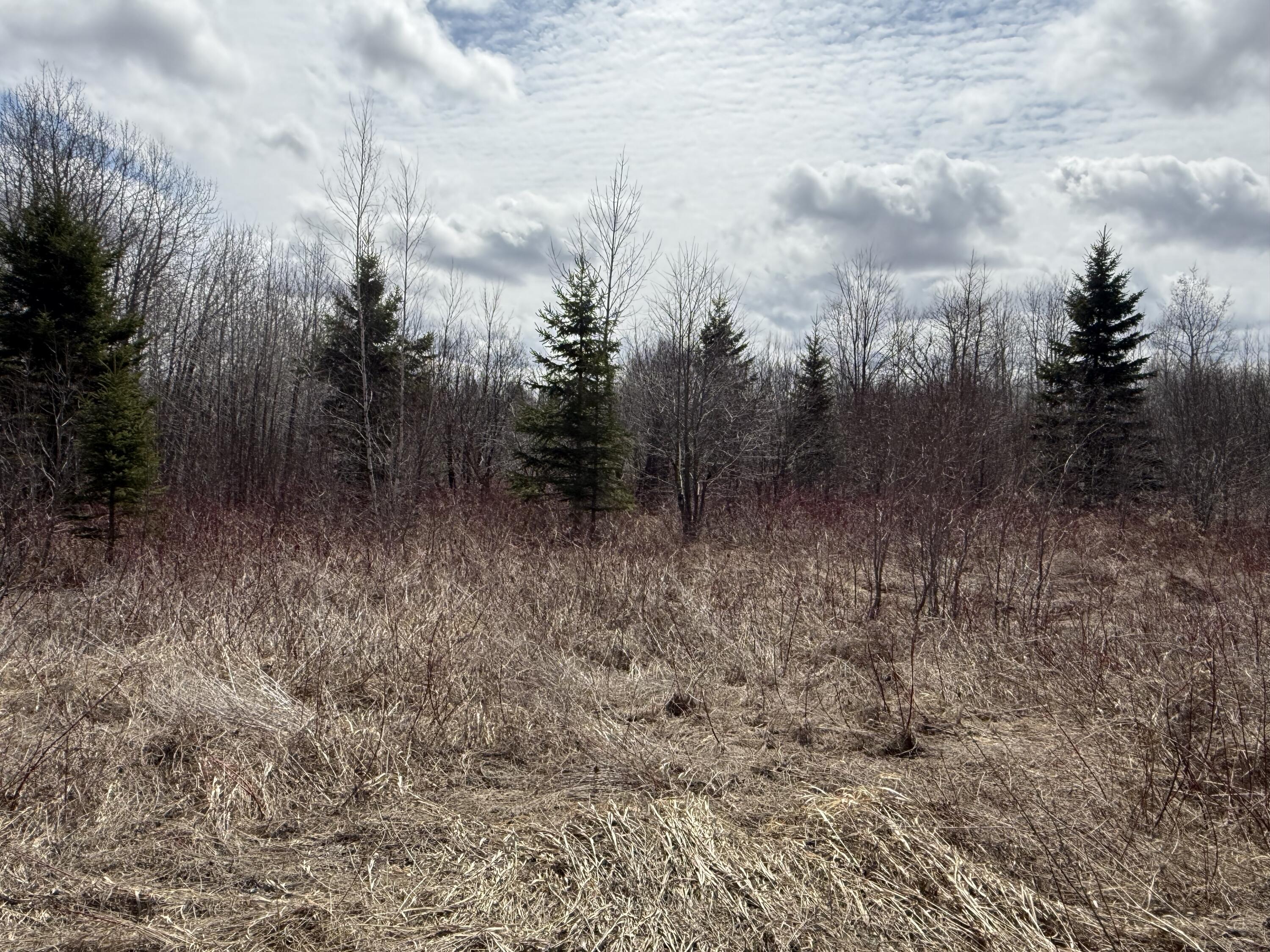 Map6-lot31 Mountain Road Blaine, ME 04734 - Photo 15 of 21 IMG_4981