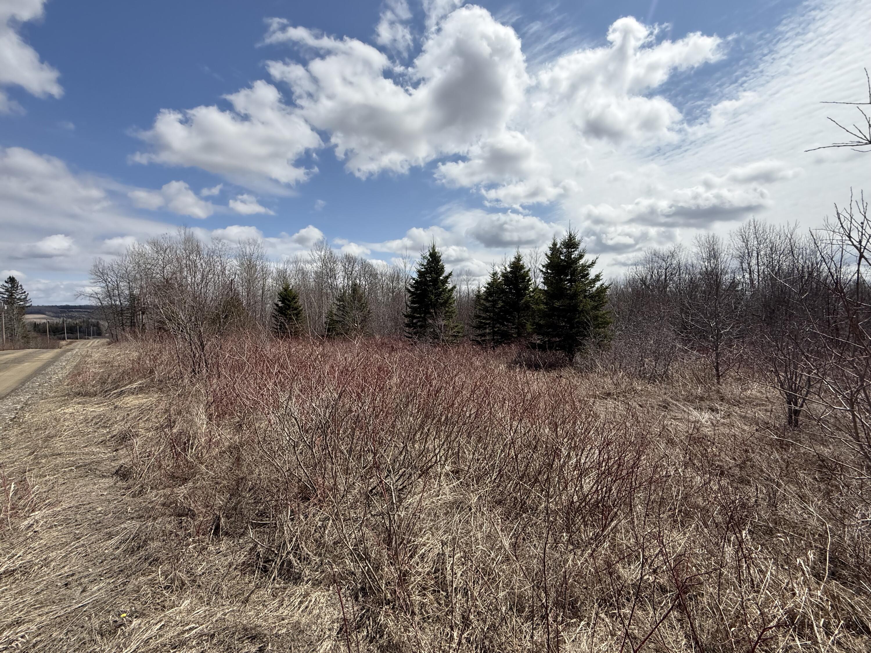 Map6-lot31 Mountain Road Blaine, ME 04734 - Photo 18 of 21 IMG_4986
