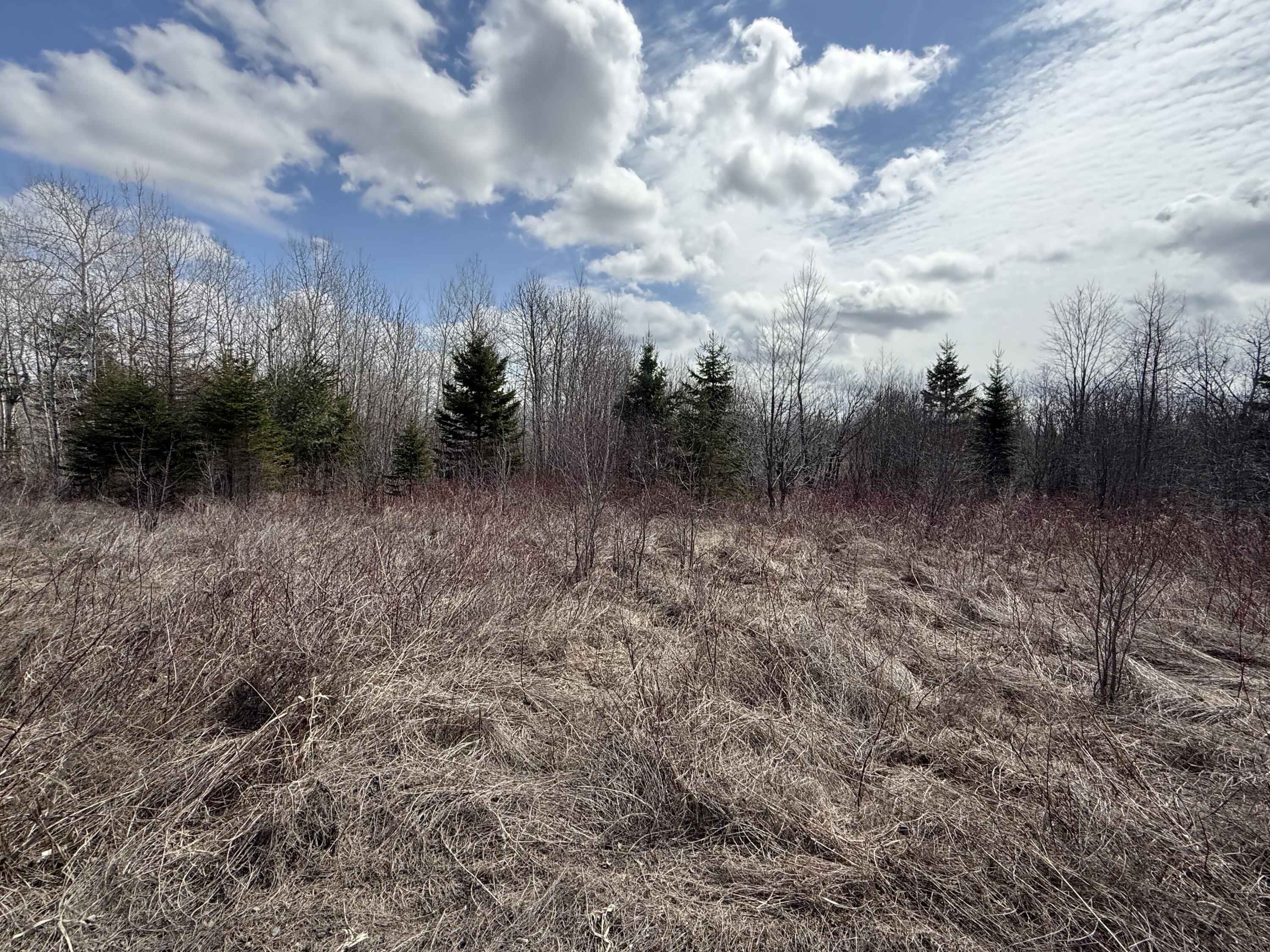 Map6-lot31 Mountain Road Blaine, ME 04734 - Photo 19 of 21 IMG_4987