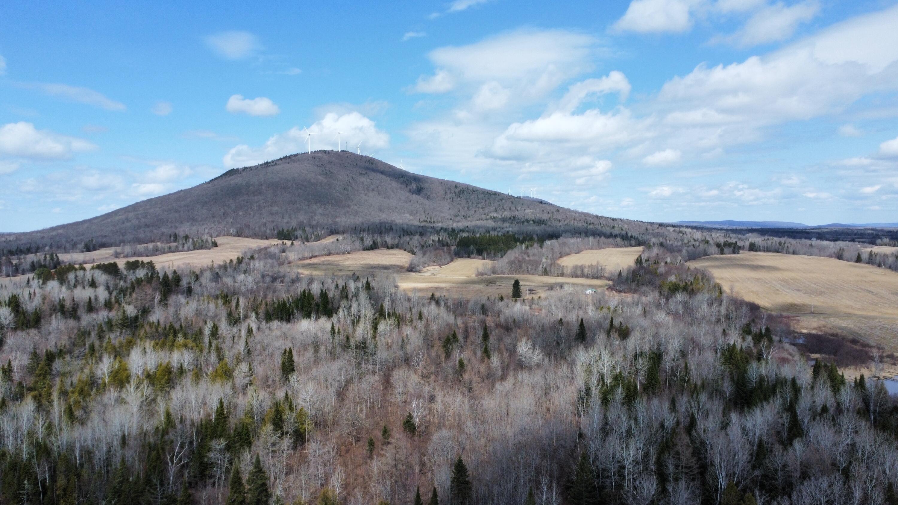 Map6-lot31 Mountain Road Blaine, ME 04734 - Photo 3 of 21 3