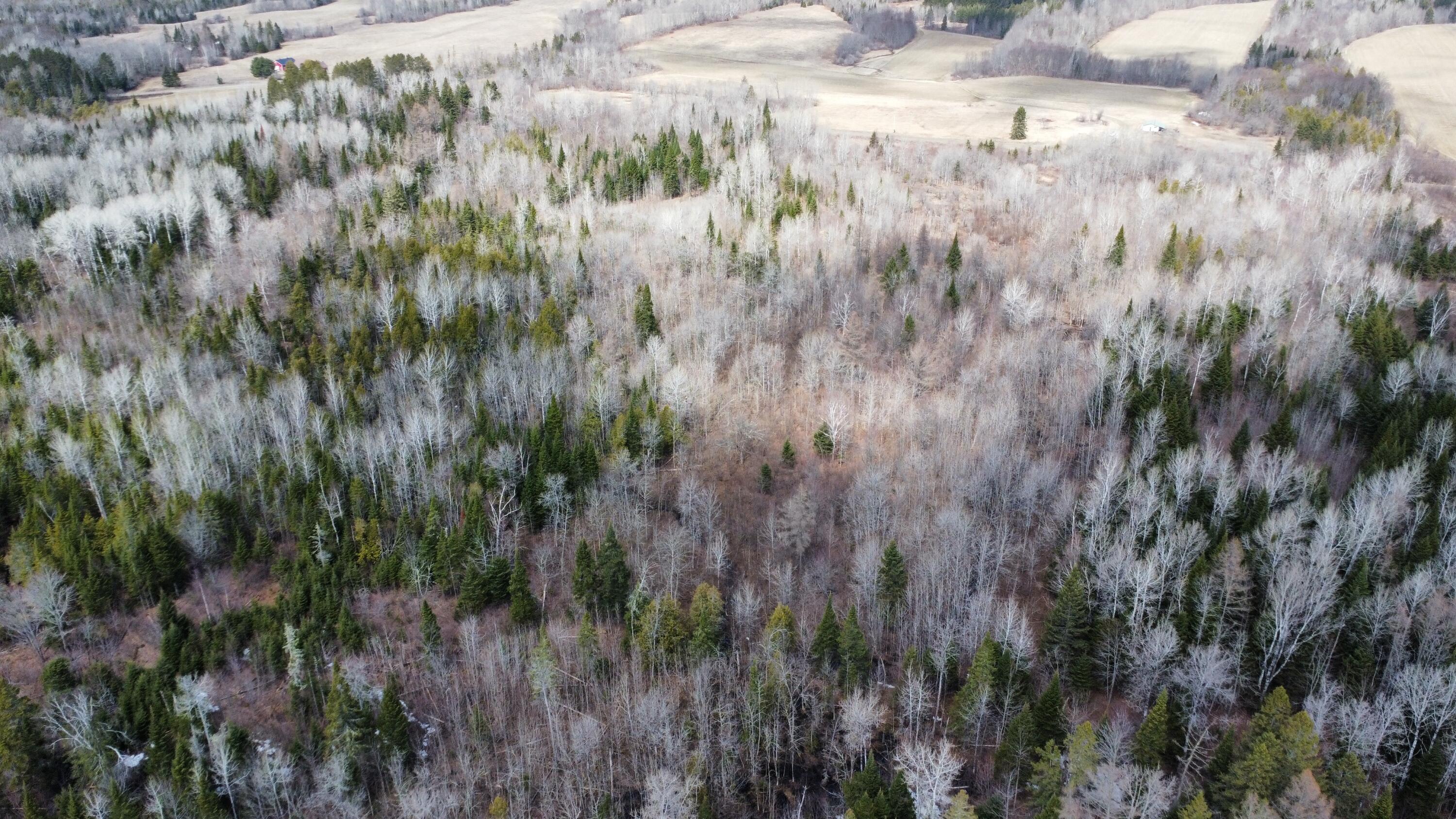Map6-lot31 Mountain Road Blaine, ME 04734 - Photo 4 of 21 4