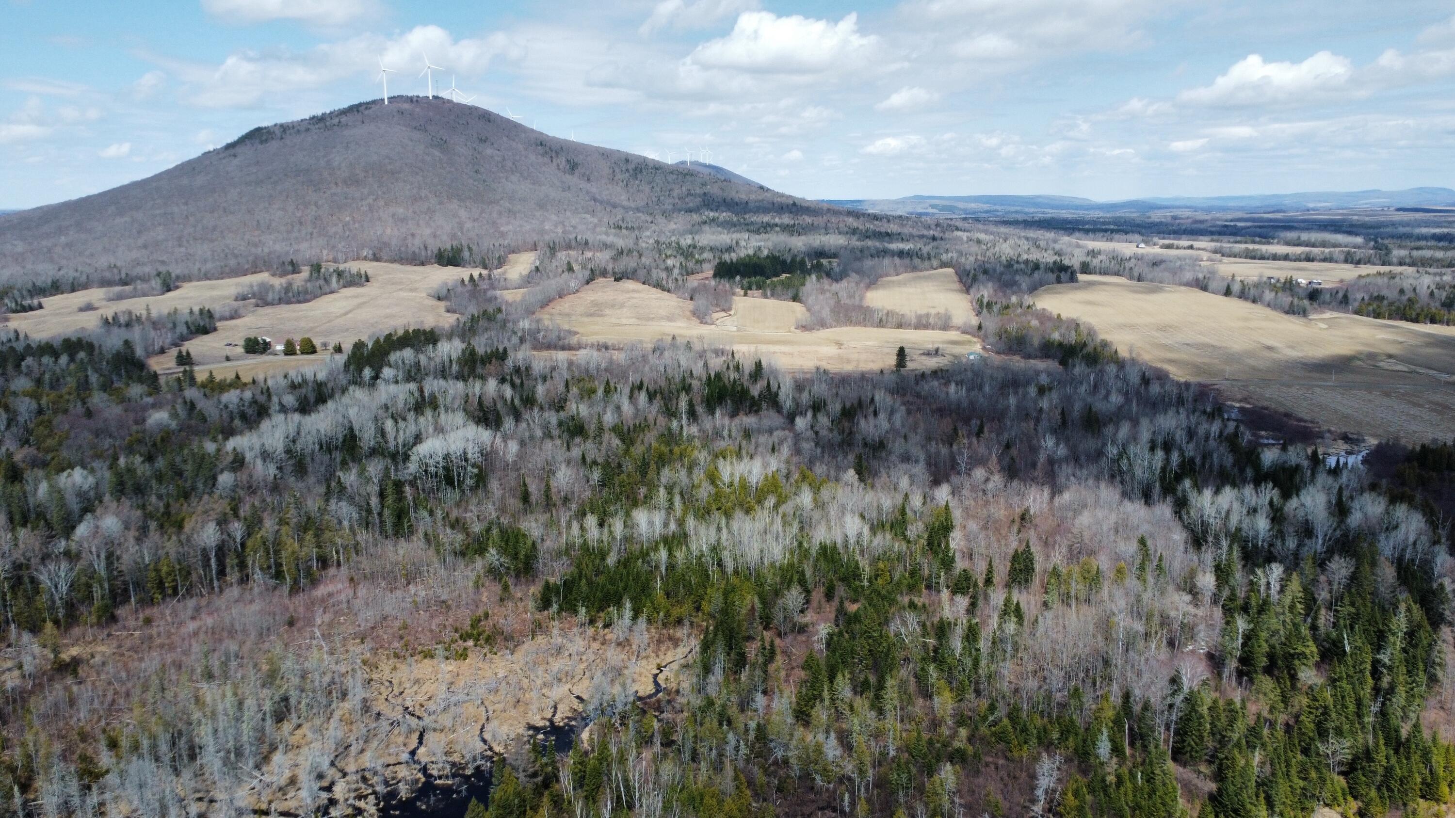 Map6-lot31 Mountain Road Blaine, ME 04734 - Photo 5 of 21 5