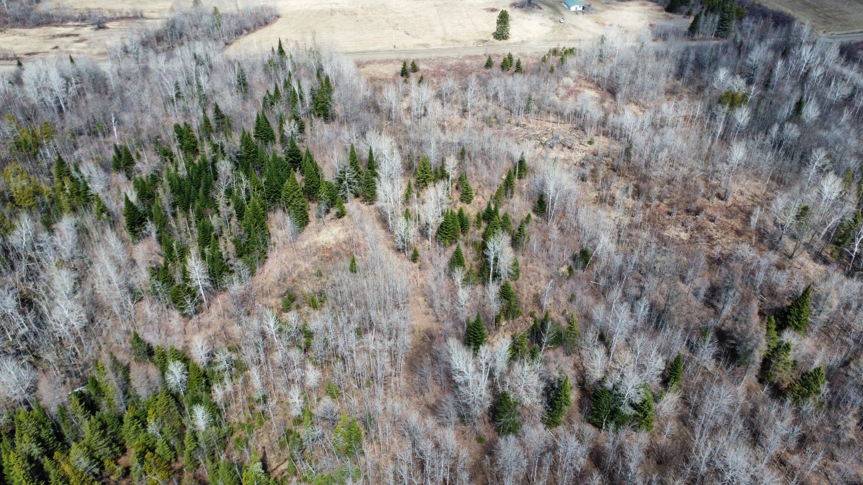 Map6-lot31 Mountain Road Blaine, ME 04734 - Photo 6 of 21 6