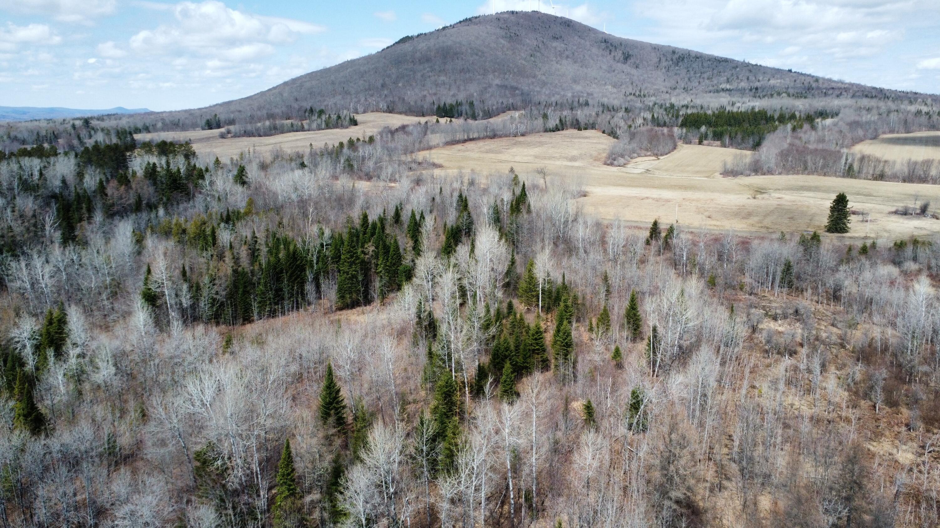 Map6-lot31 Mountain Road Blaine, ME 04734 - Photo 7 of 21 9