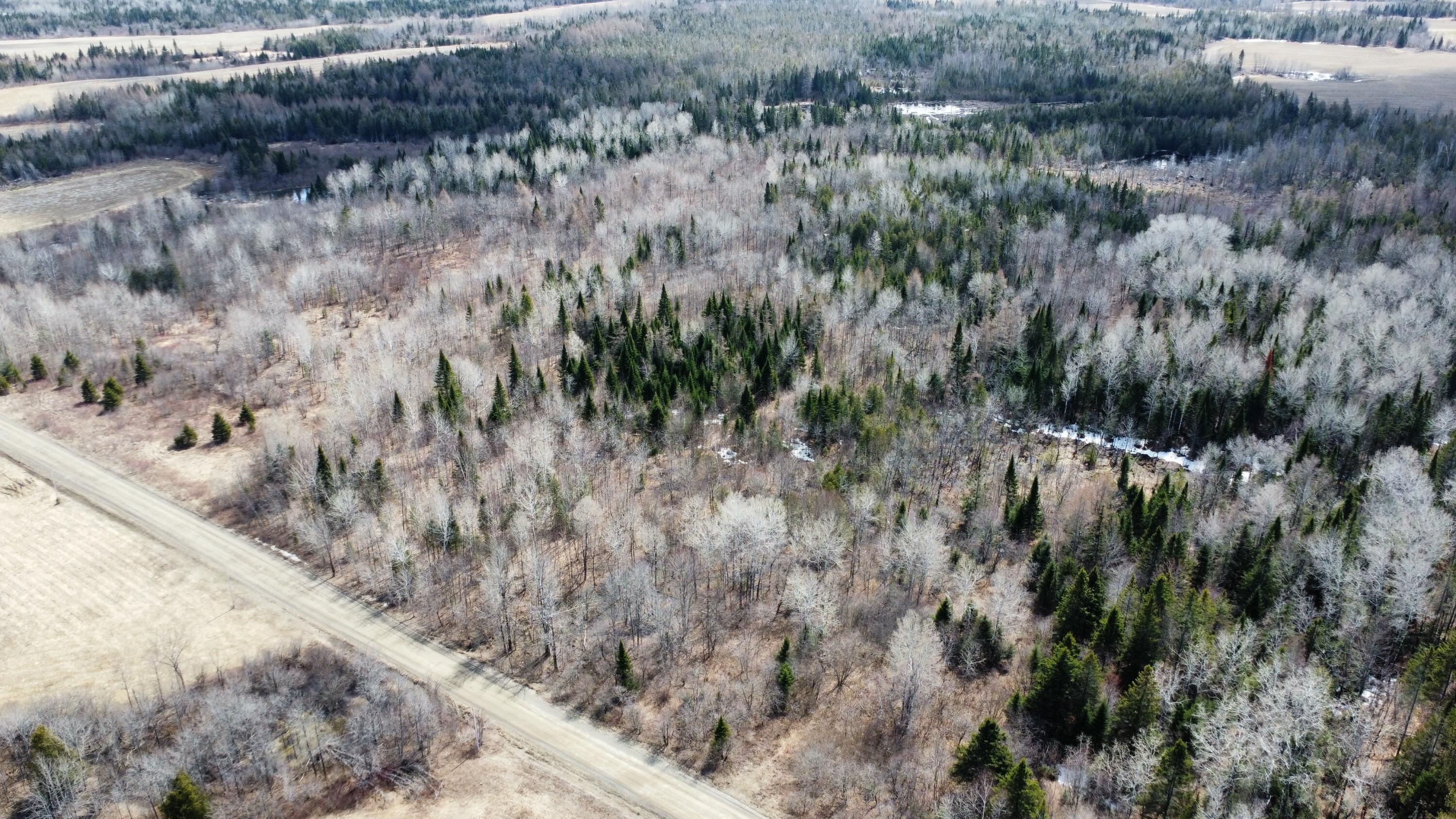 Map6-lot31 Mountain Road Blaine, ME 04734 - Photo 8 of 21 10