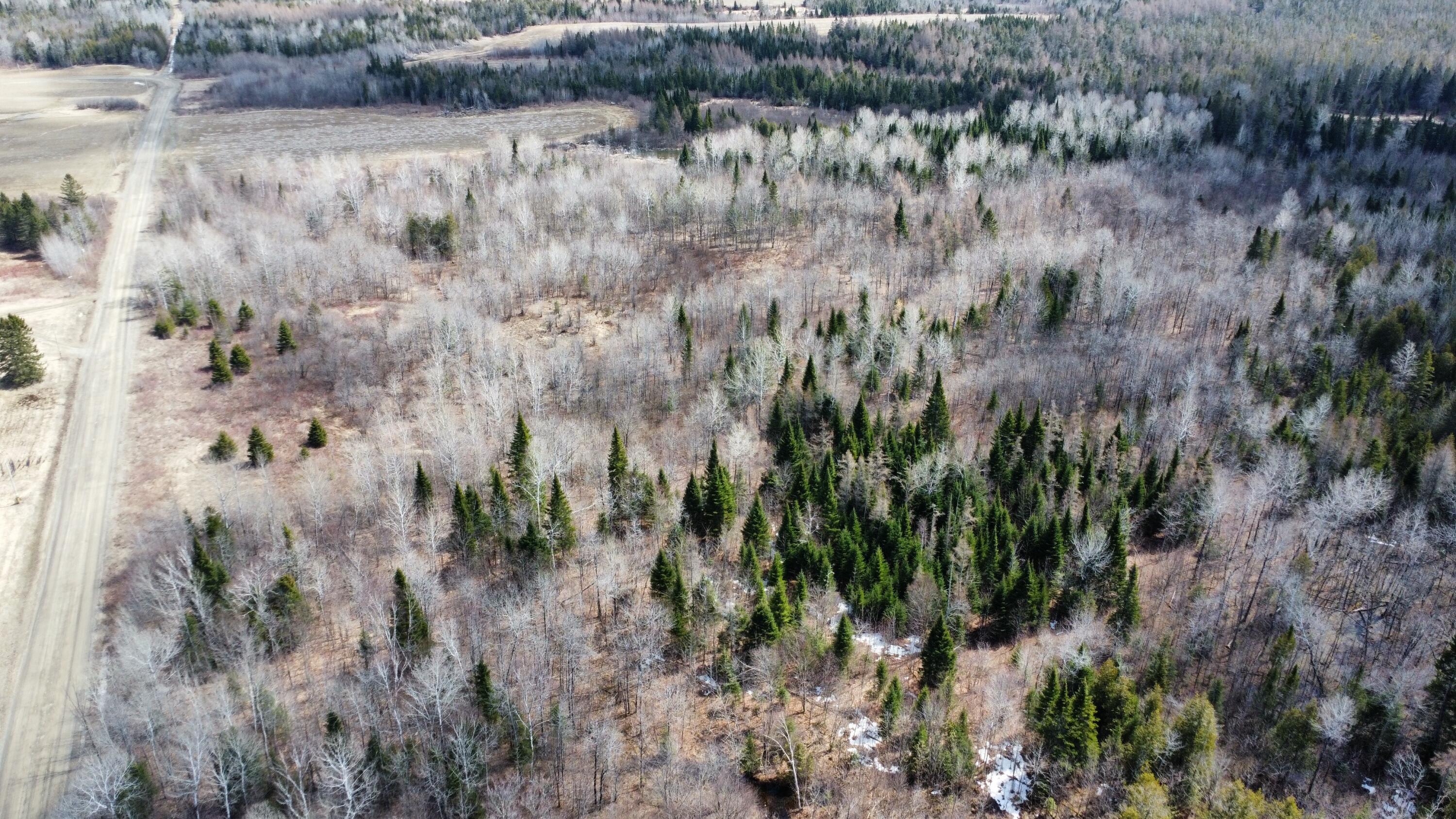 Map6-lot31 Mountain Road Blaine, ME 04734 - Photo 9 of 21 11