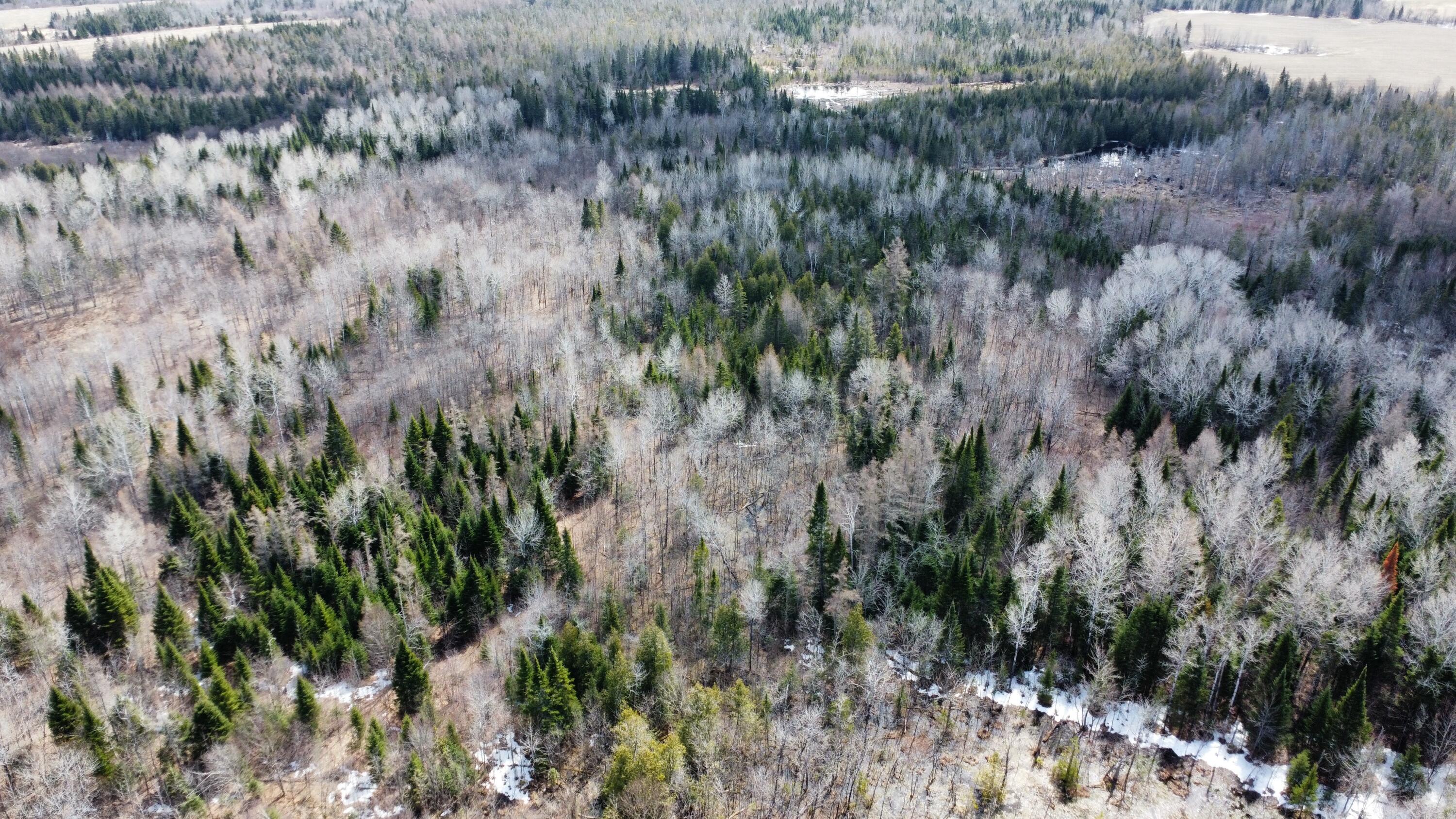 Map6-lot31 Mountain Road Blaine, ME 04734 - Photo 10 of 21 12