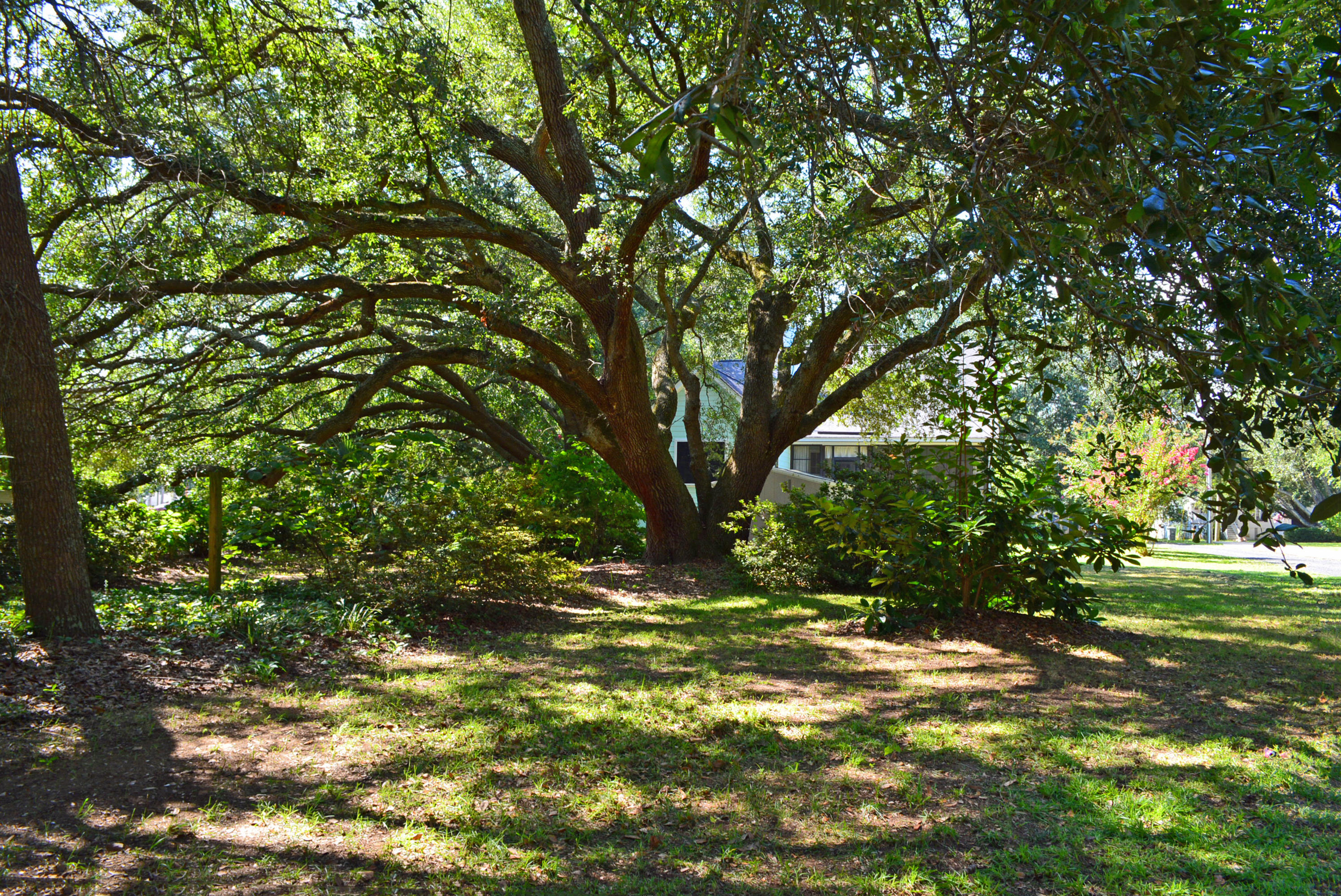 1463 Fort Lamar Road Charleston, SC 29412 - Photo 21 of 23 1463 Fort Lamar