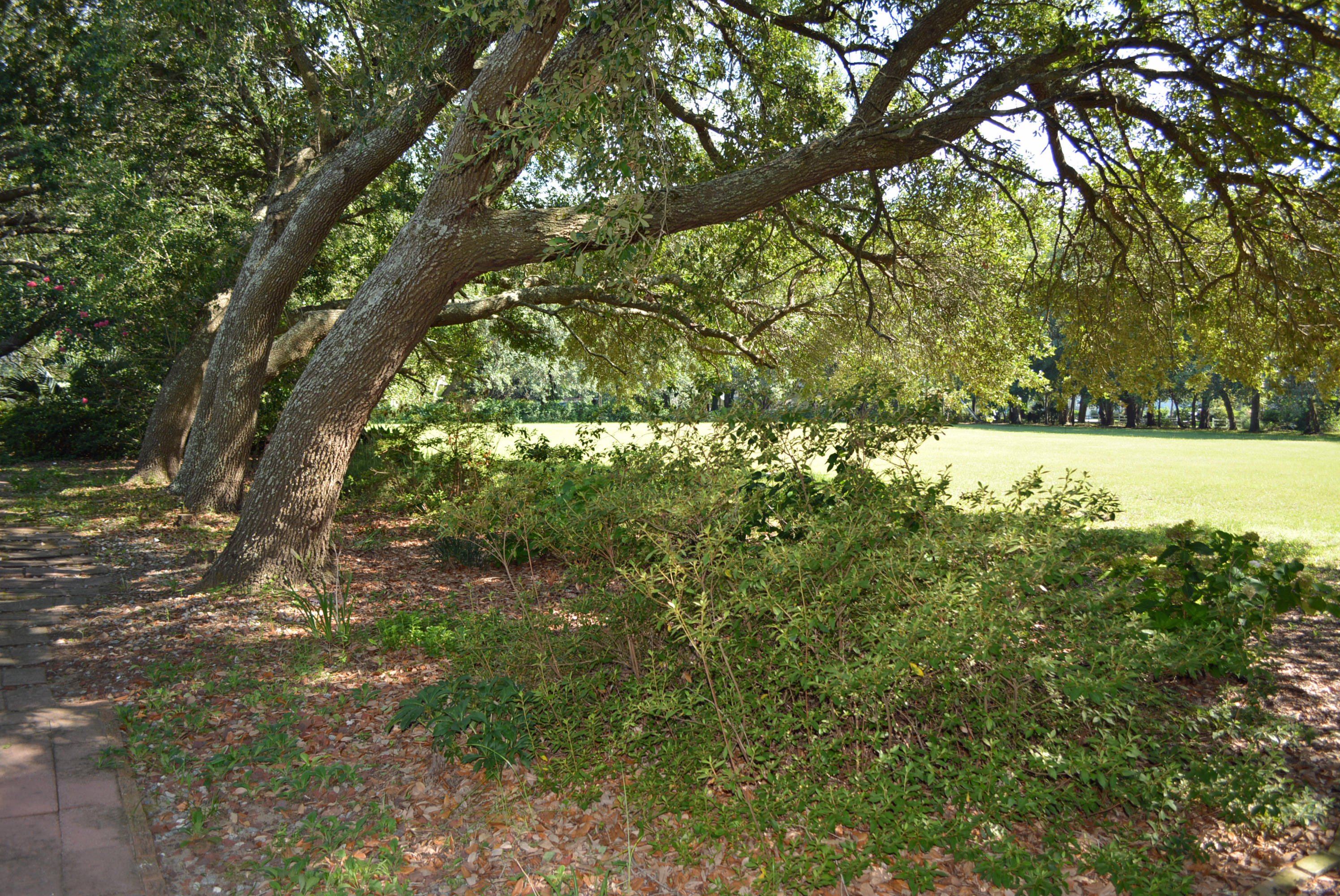 1463 Fort Lamar Road Charleston, SC 29412 - Photo 22 of 23 1463 Fort Lamar