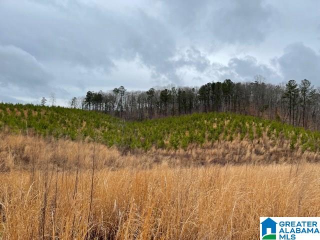 59 County Road, Unit 30 Heflin, AL 36264 - Photo 6 of 24