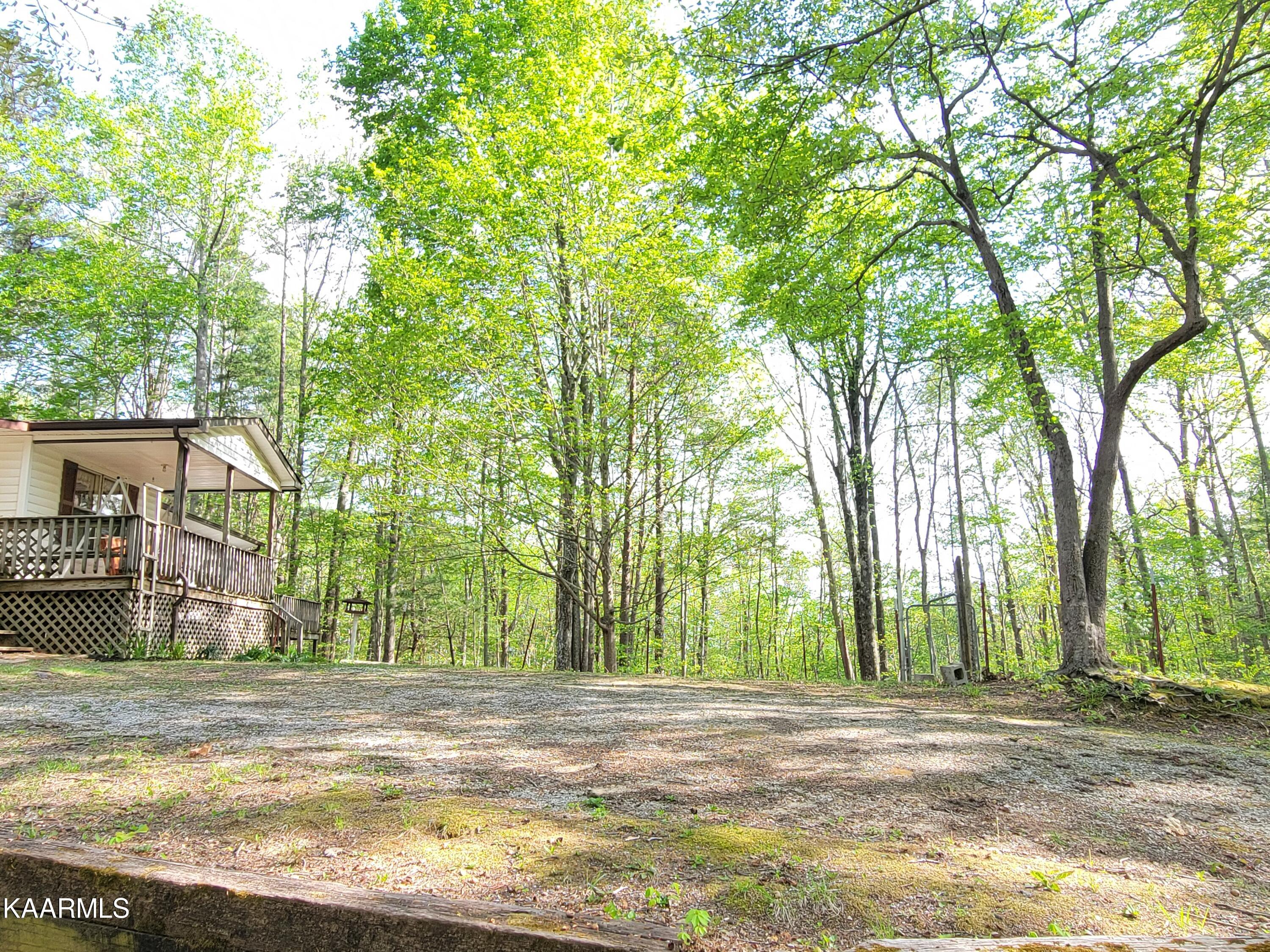 2226 Litton Road Oneida, TN 37841 - Photo 5 of 20 20220430_172010