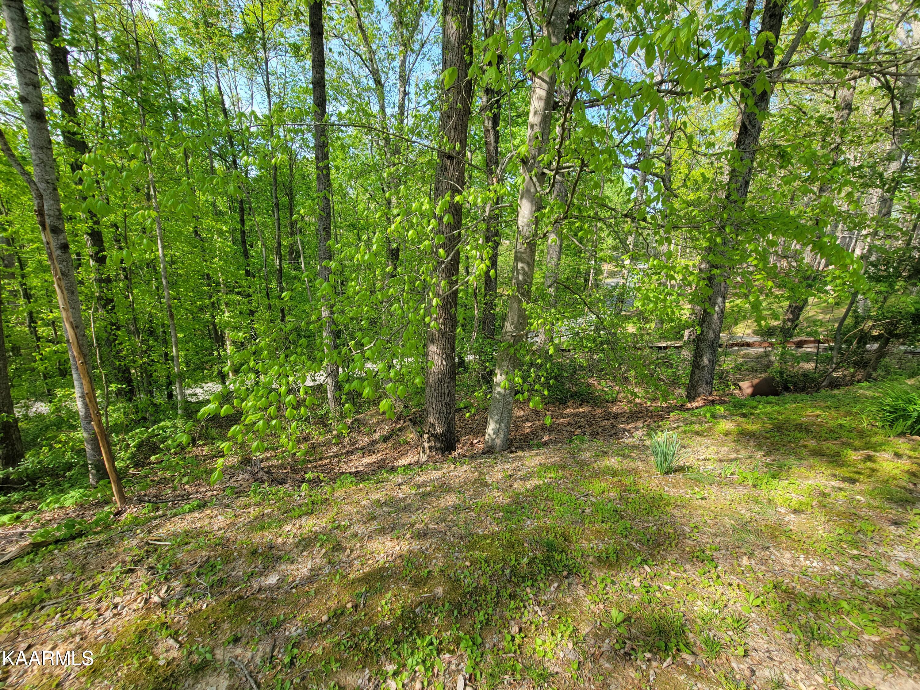 2226 Litton Road Oneida, TN 37841 - Photo 8 of 20 20220430_171701
