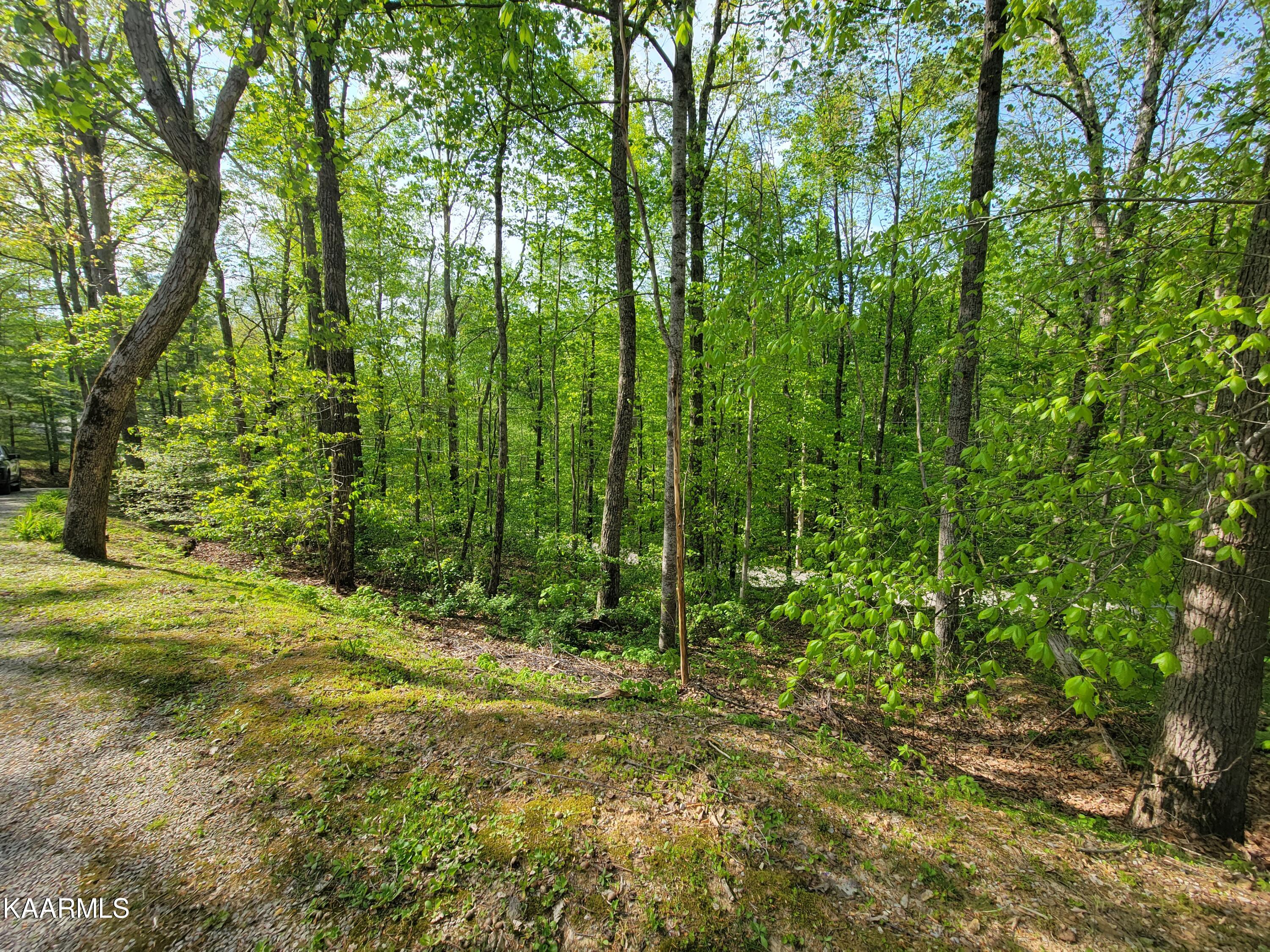 2226 Litton Road Oneida, TN 37841 - Photo 9 of 20 20220430_171706