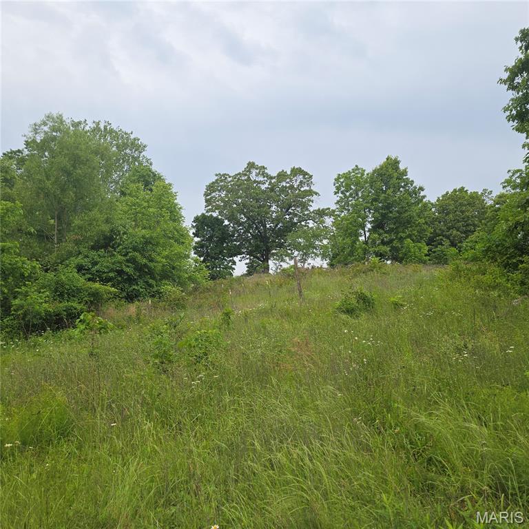 14809 East Knox Road Mount Vernon, IL 62864 - Photo 10 of 31