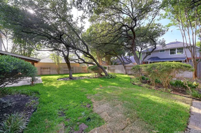 a view of a yard with plants and large trees