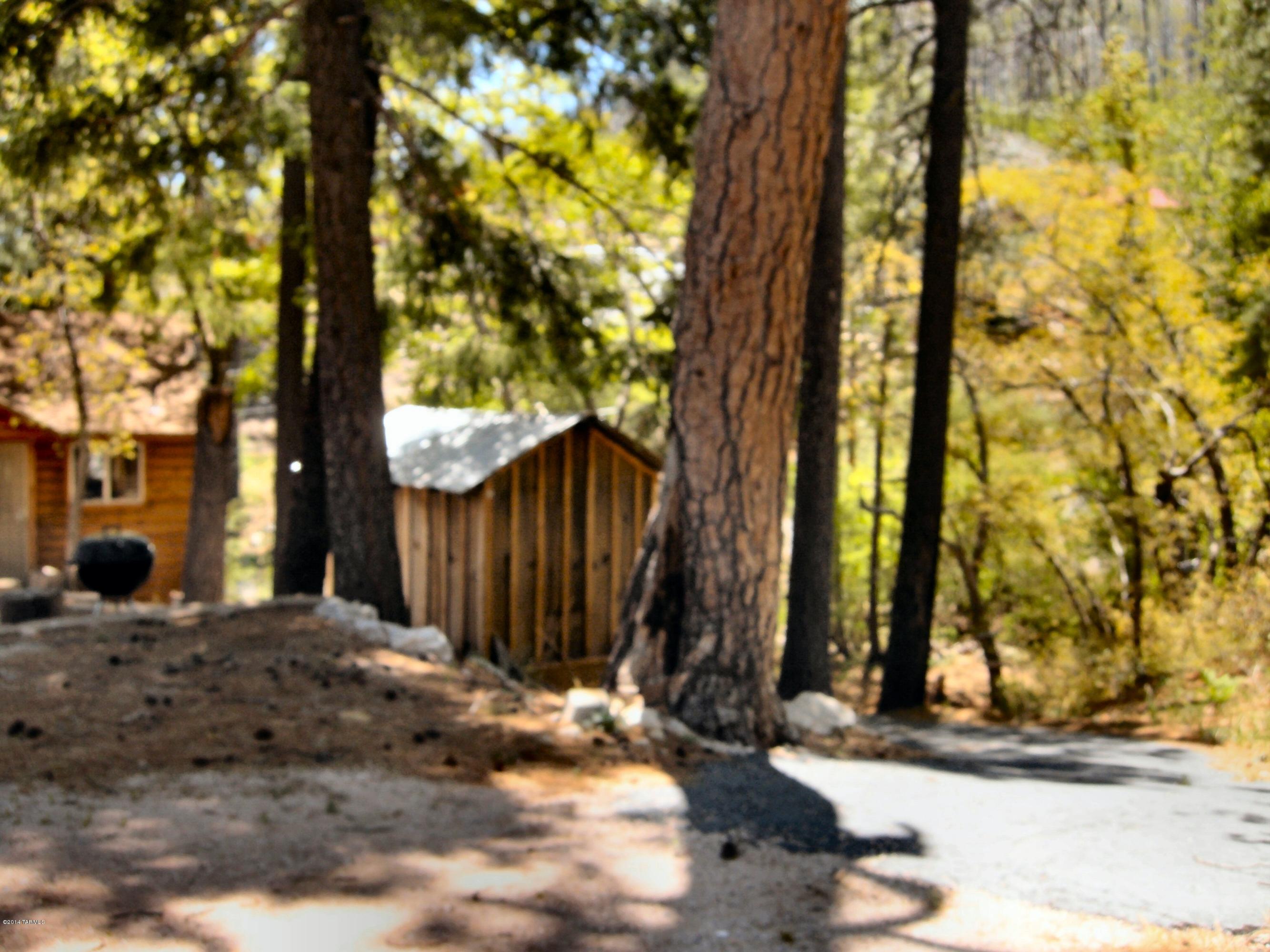 11207 East Carter Canyon Road Mount Lemmon, AZ 85619 - Photo 16 of 18