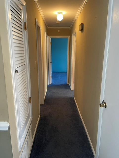 3557 Revere Road Martinez, GA 30907 - Photo 6 of 14