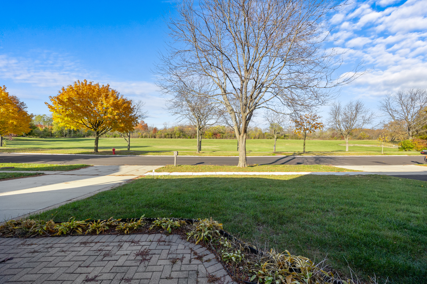 1567 California Street Elk Grove Village, IL 60007 - Photo 2 of 29 a view of a swimming pool with an outdoor space and seating area
