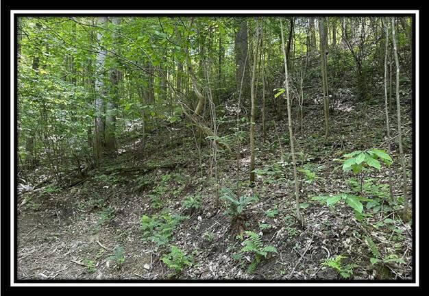 59 Weaver Road, Unit TRACT C) Chillicothe, OH 45601 - Photo 22 of 36 image022
