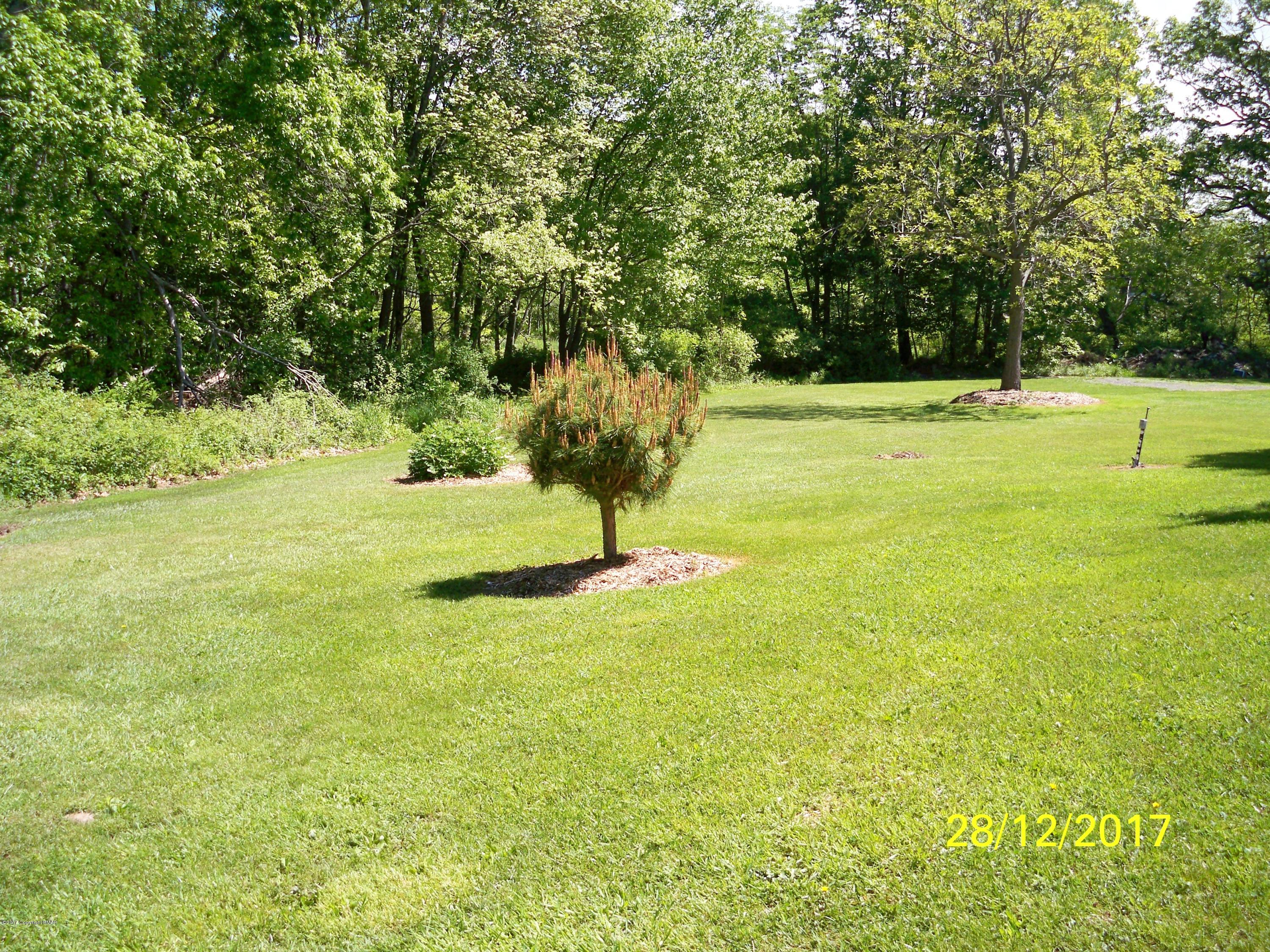 173 Doll Road Stroudsburg, PA 18360 - Photo 5 of 46 Front Yard