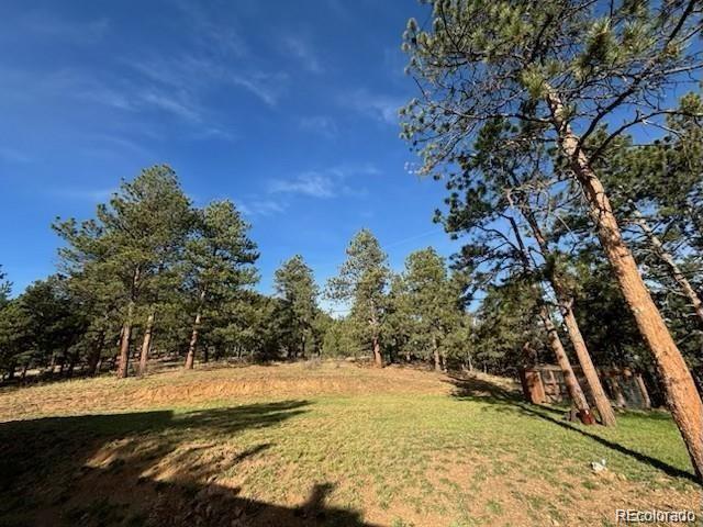 2013 Swede Gulch Road Evergreen, CO 80439 - Photo 41 of 50