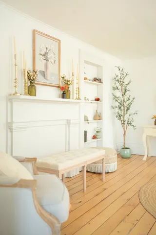 a living room with furniture and a potted plant