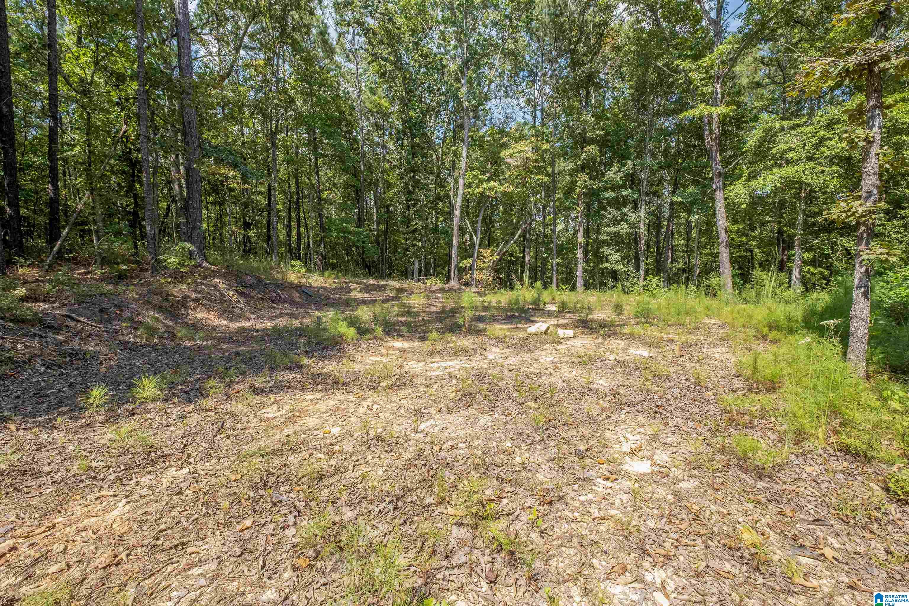 128 County Road 928, Unit 14 Delta, AL 36258 - Photo 5 of 30
