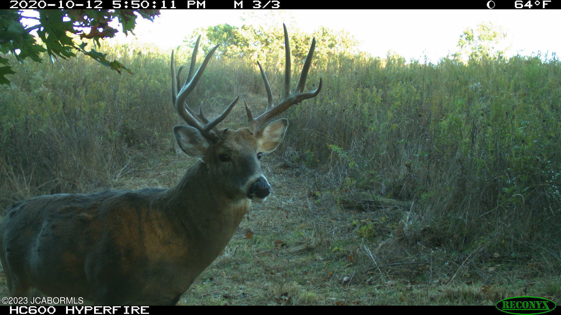 Tbd Big Lick Road Boonville, MO 65233 - Photo 56 of 59