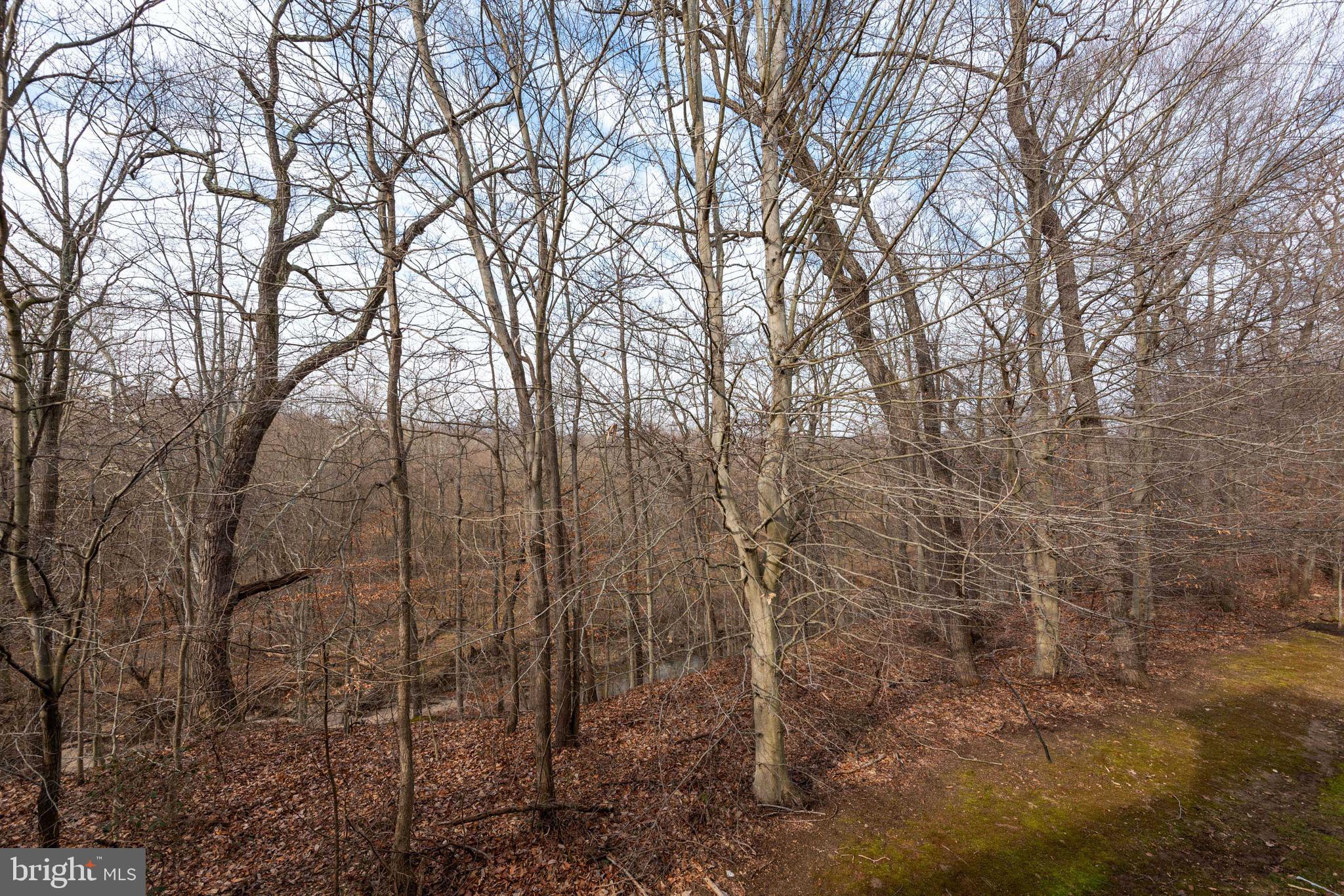 8142 Mississippi Road Laurel, MD 20724 - Photo 10 of 39 Gallery Image 10