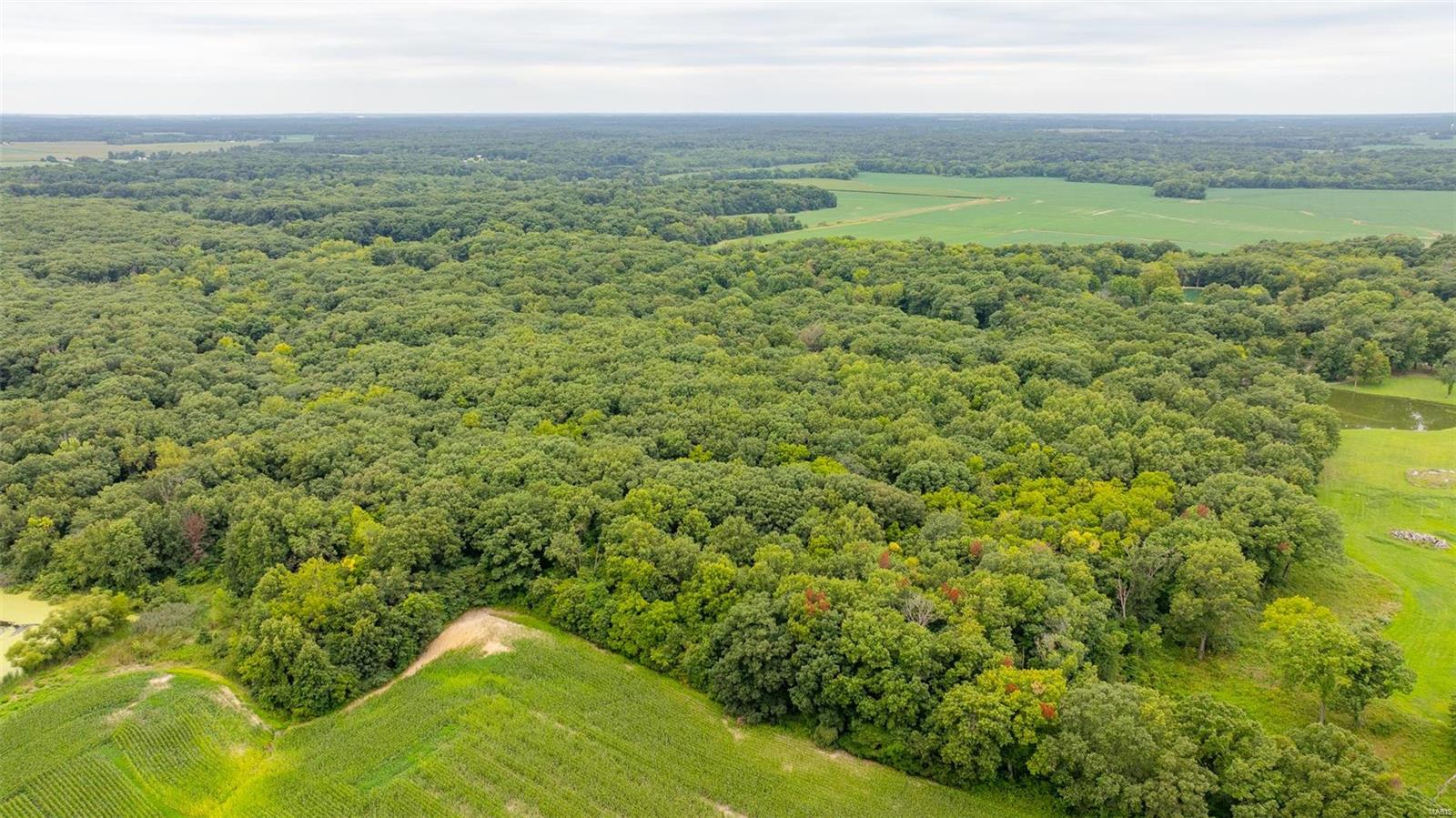 1812 Reno Road Sorento, IL 62086 - Photo 9 of 90 Gallery Image 9