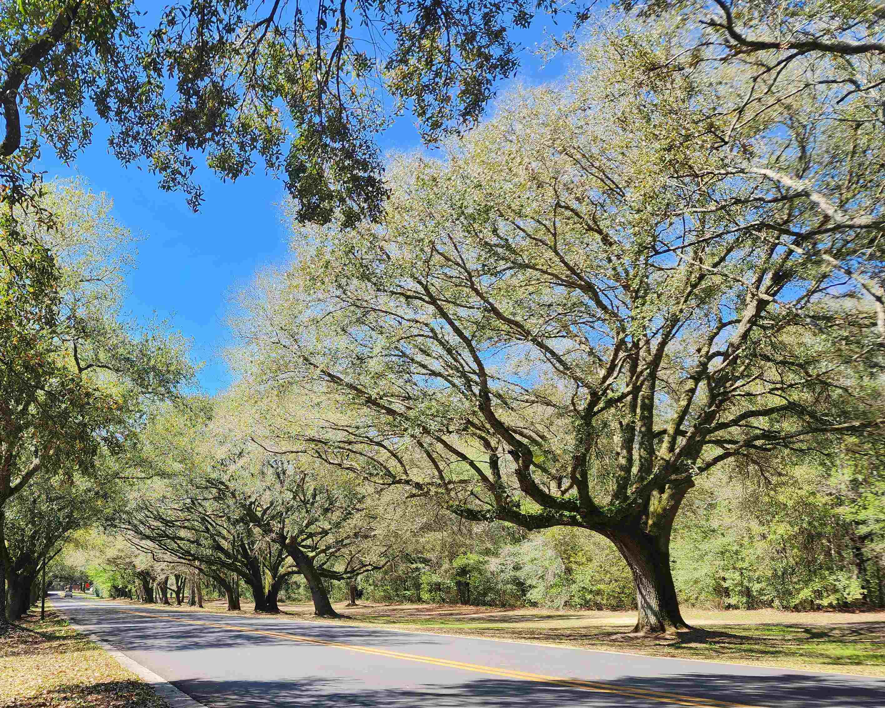 11111 Niblick Loop Fairhope, AL 36532 - Photo 28 of 33