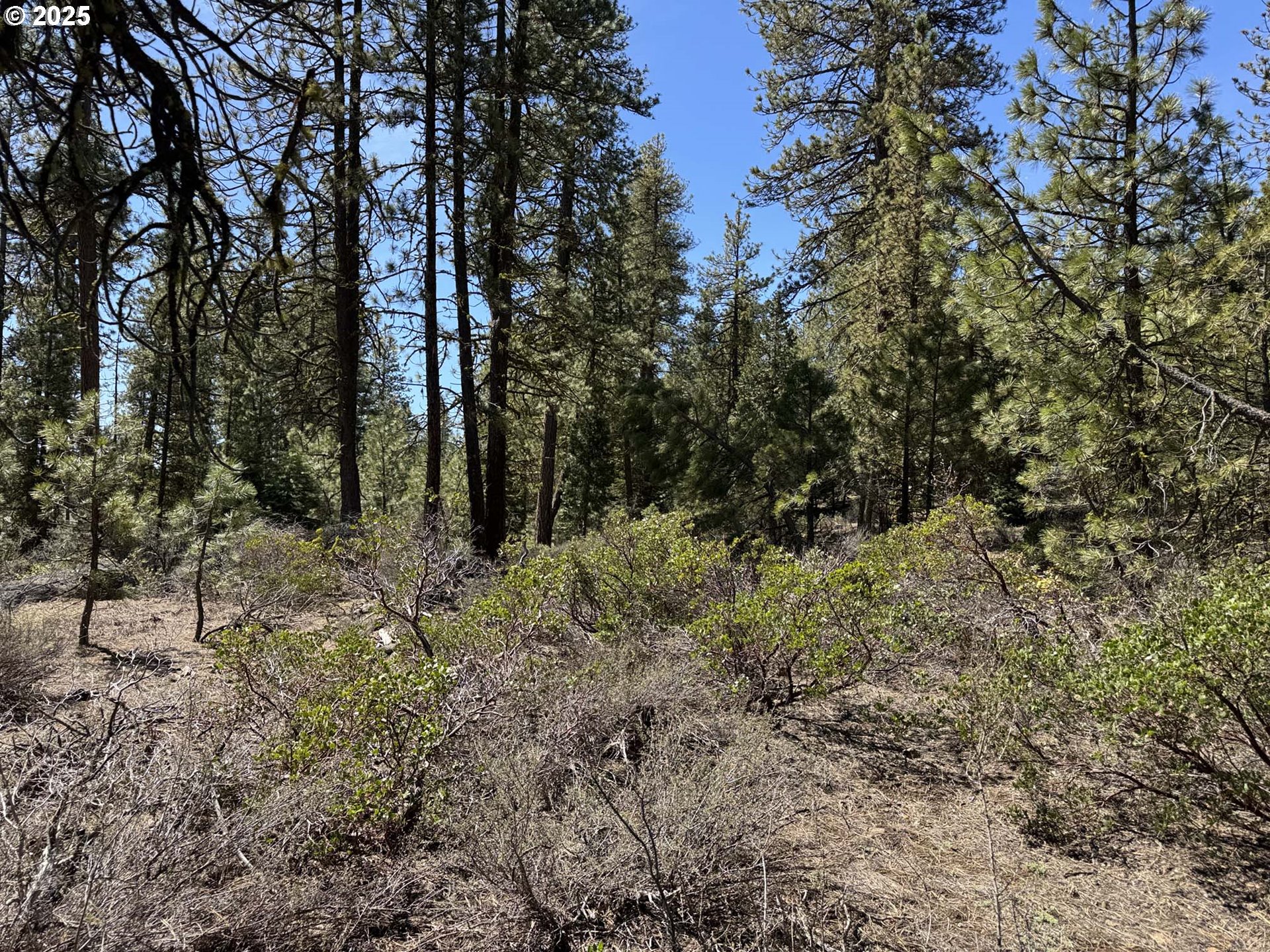 Horned Owl Lane Bonanza, OR 97623 - Photo 25 of 44