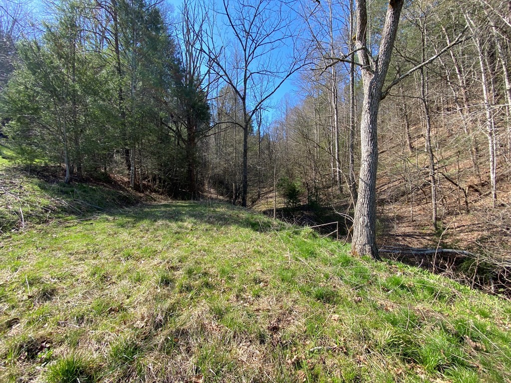 0 Little Cove Church Road Sevierville, TN 37862 - Photo 35 of 41 Gallery Image 35