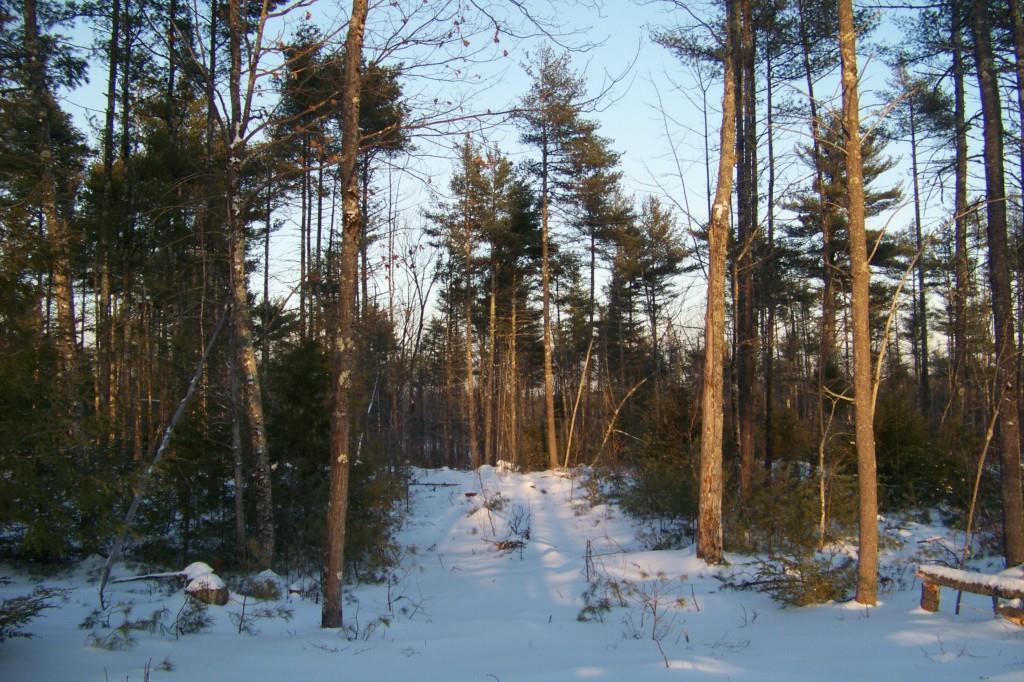 Lot #24 Foxes Ridge Road Acton, ME 04001 - Photo 16 of 17 Photo