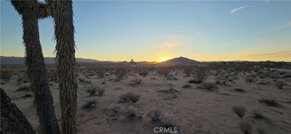 2 Belmont Street Joshua Tree, CA 92252 - Photo 2 of 6 a view of a sky from a yard