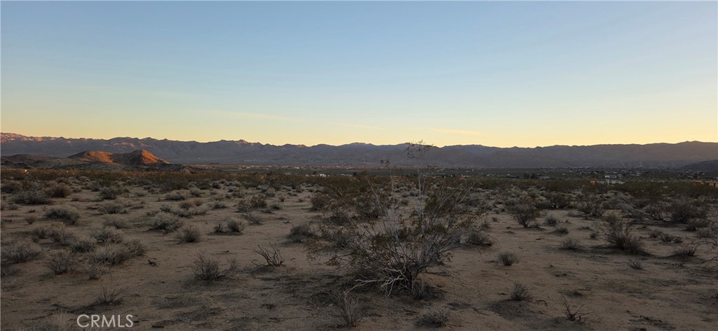 2 Belmont Street Joshua Tree, CA 92252 - Photo 5 of 6 a view of a bunch of trees in a field