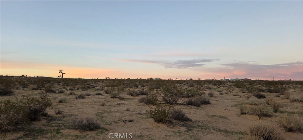 2 Belmont Street Joshua Tree, CA 92252 - Photo 6 of 6 a view of a dry space with lots of trees