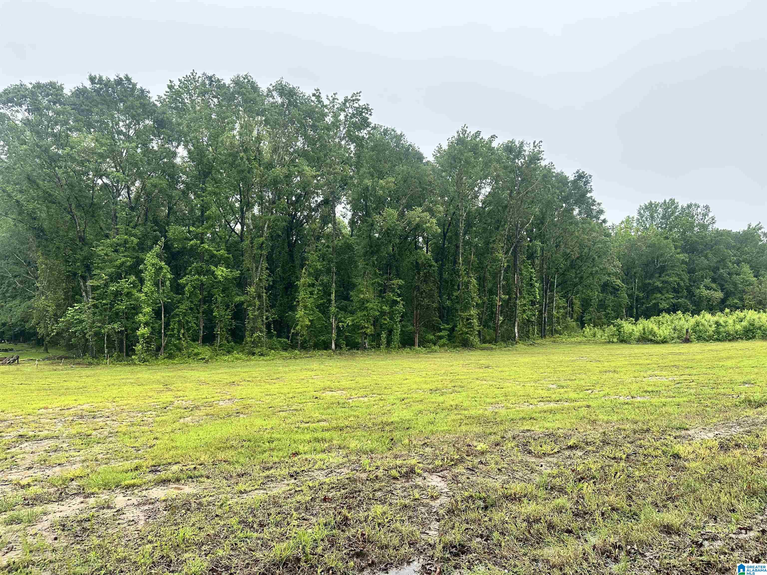 0 Ward School Road, Unit 3 Centreville, AL 35042 - Photo 1 of 3