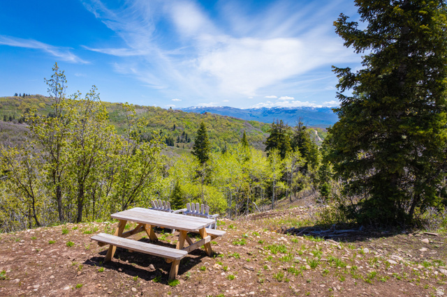 1667 West Tollgate Cyn Road Coalville, UT 84017 - Photo 56 of 61 Mountainous landscape featuring evergreen trees and distant snow-capped peaks