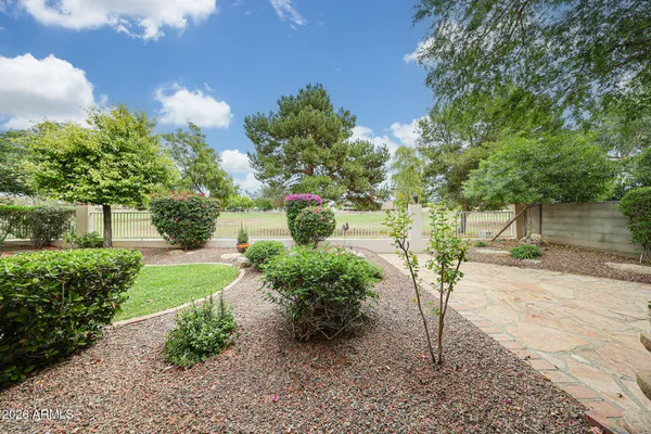 a view of a yard with plants and a fountain