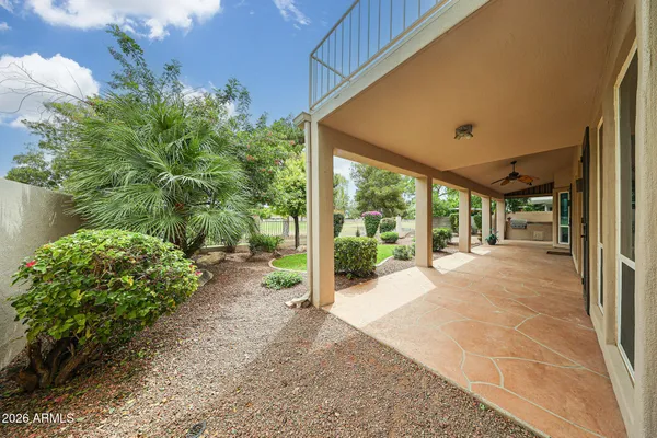 a view of a backyard with plants and garden