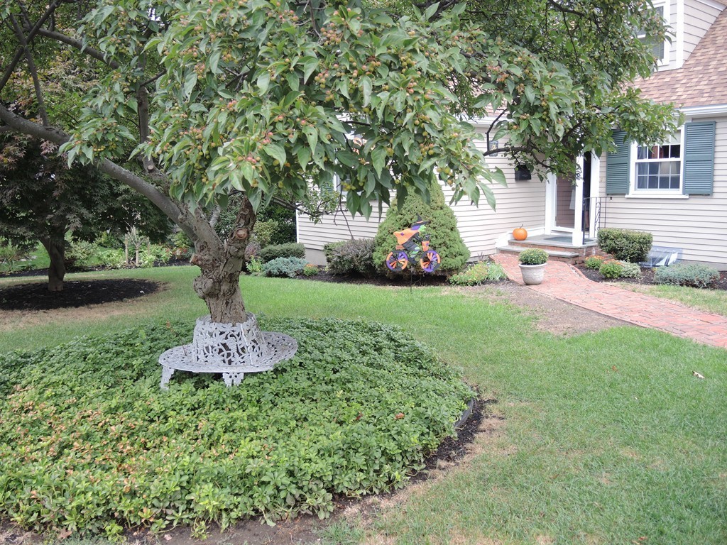 114 Richdale Road Needham, MA 02494 - Photo 20 of 25