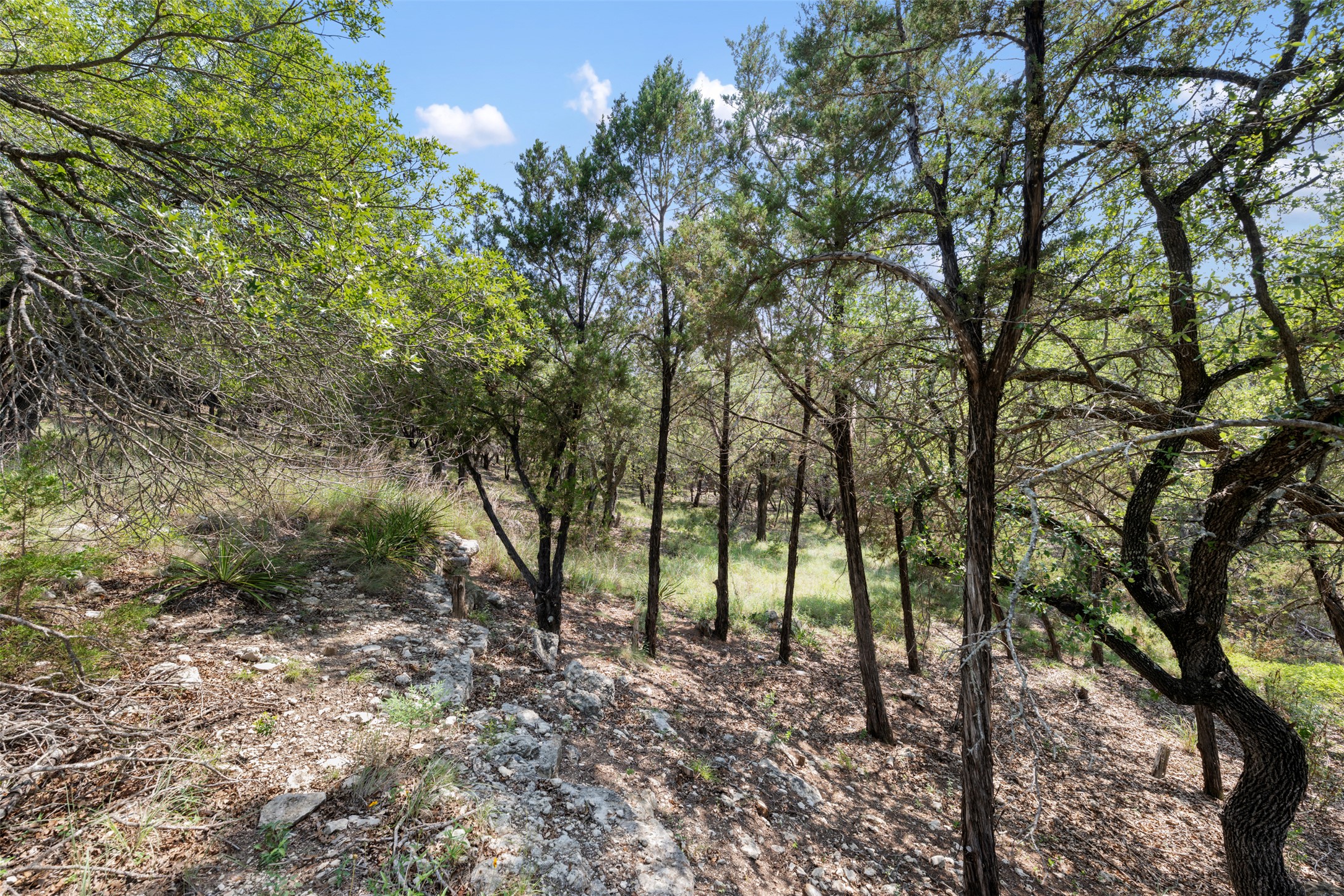 21105 Ridgeview Road Lago Vista, TX 78645 - Photo 30 of 34 Mature trees and natural grasses define this ample, private lot.