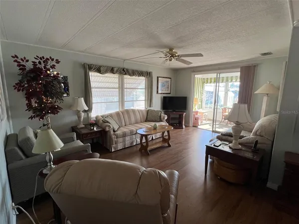 a living room with furniture potted plant and a window
