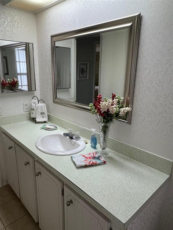 263 Sago Palm Street Largo, FL 33778 - Photo 21 of 29 a bathroom with a sink and a mirror