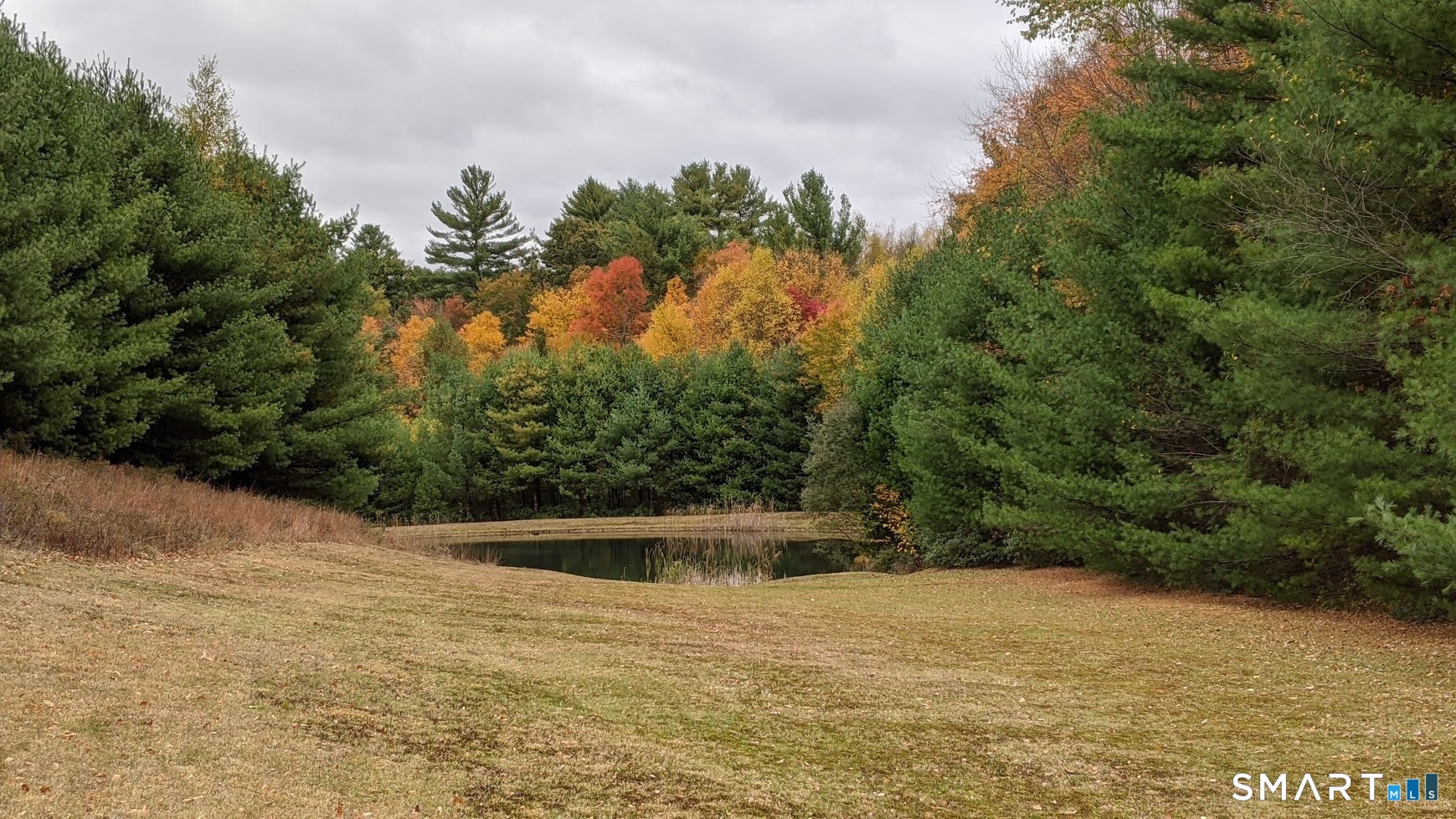 228 Ruby Road Willington, CT 06279 - Photo 37 of 41