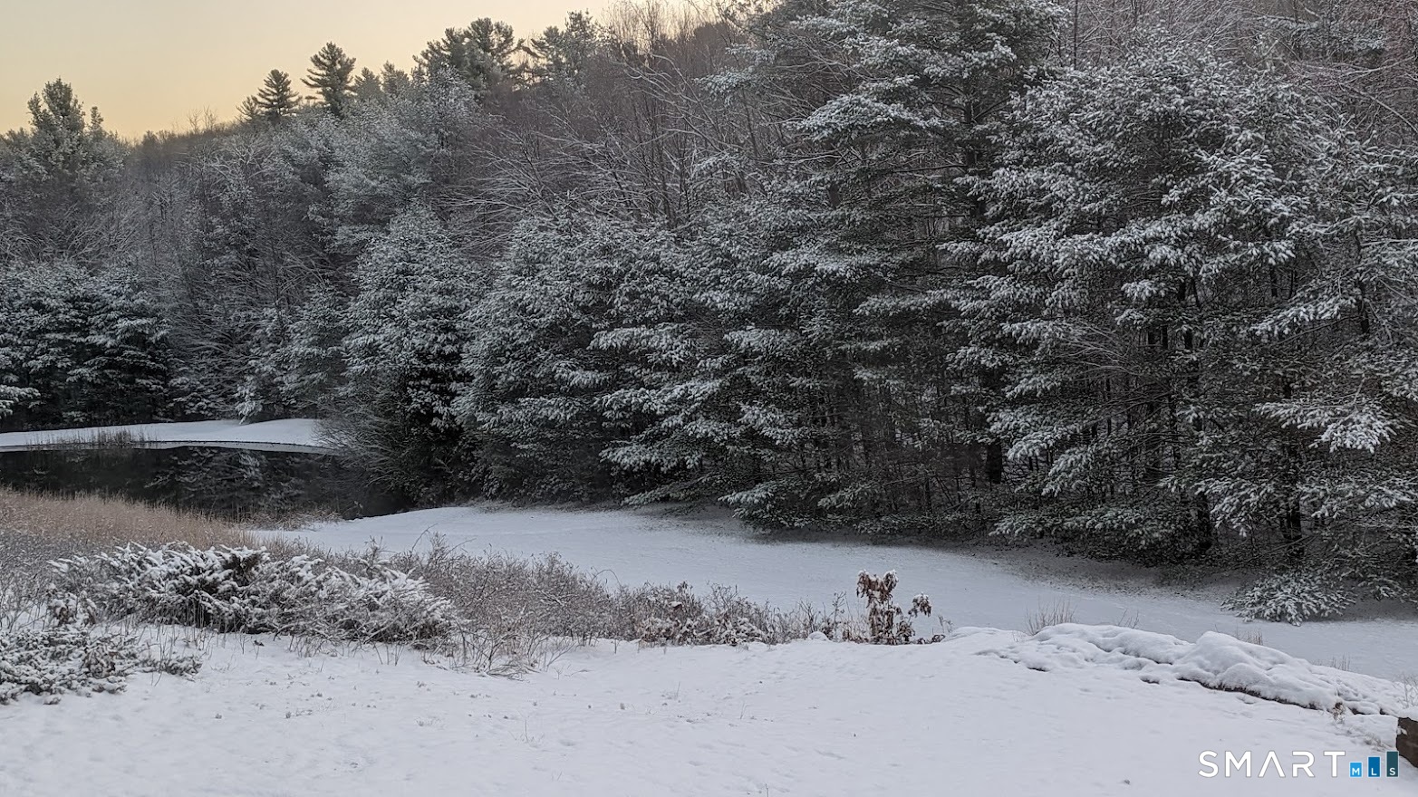 228 Ruby Road Willington, CT 06279 - Photo 38 of 41