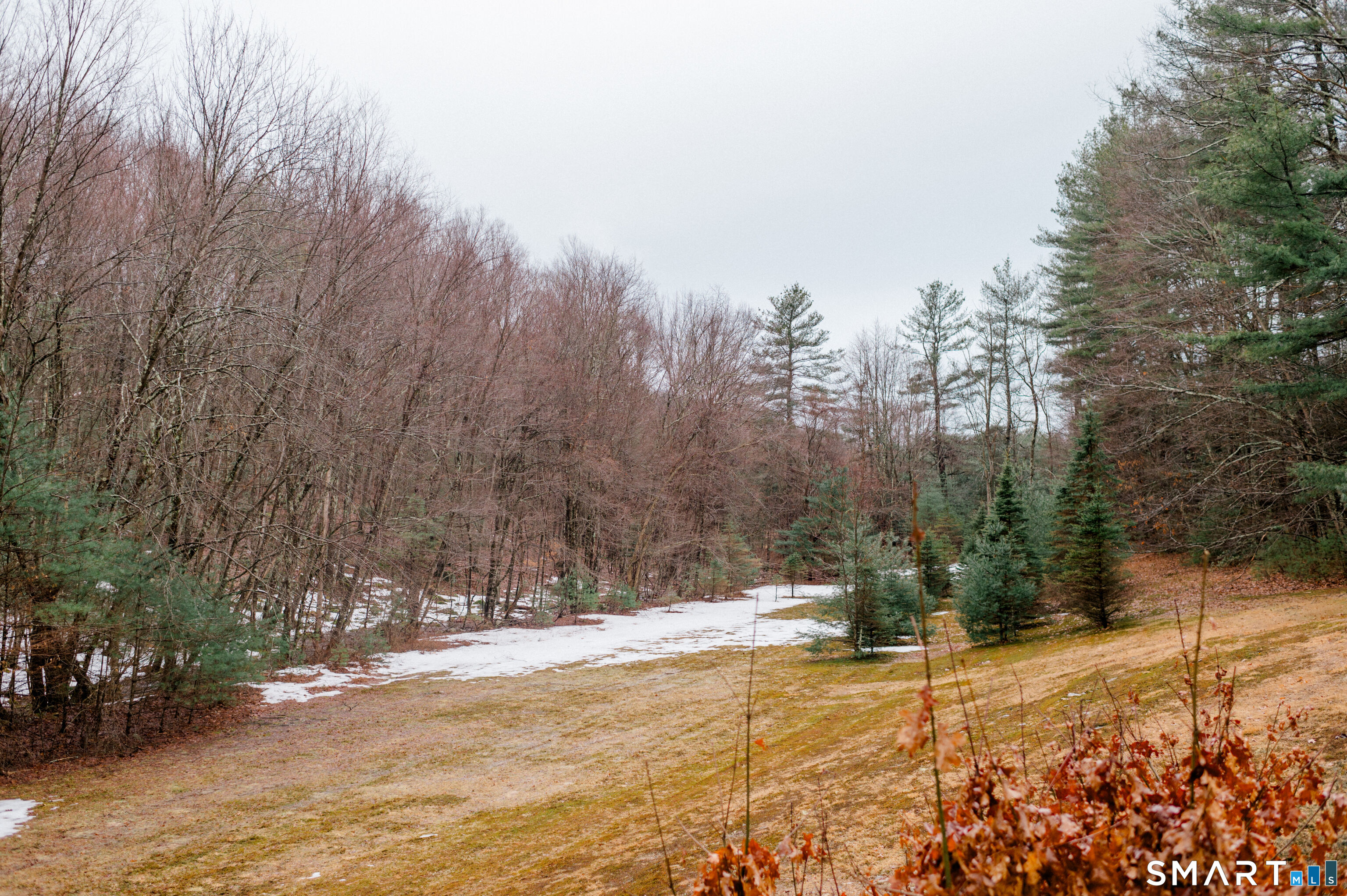 228 Ruby Road Willington, CT 06279 - Photo 4 of 41