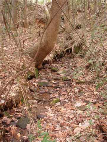 Lot C Fish Pynes Road Pansey, AL 36370 - Photo 2 of 5