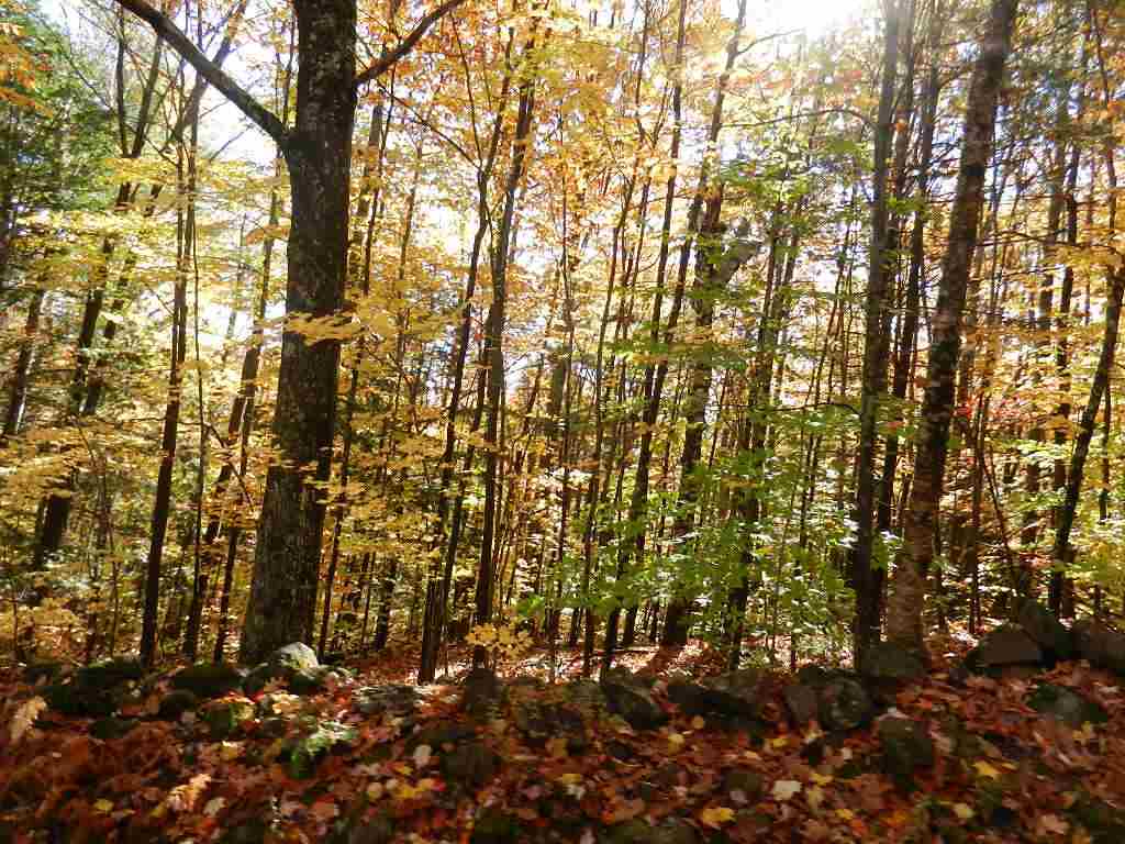 60 Sawyer Lake Road Gilmanton, NH 03237 - Photo 1 of 8 Gallery Image 1